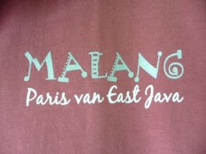 Detail Lady shirt Malang Paris van East Java